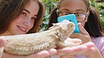 Happy, phone and zoo friends with lizard for fun photograph of reptile scales texture for social media. Interracial teen friendship with girls in animal sanctuary for picture of iguana.

