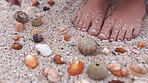 Feet of woman, beach and gathering seashells, picking up or creating circular pattern. Closeup, summer or girl, lady or person with pedicure in nature with shells making shape on sandy ocean shore.