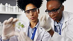Scientist, teamwork and women with petri dish for plant research, experiment or test. Science, discussion and medical doctors or lab assistant with leaf sample for gmo, sustainability and growth.
