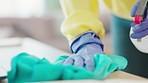 Hands of woman cleaning table with spray, bottle and cloth, housekeeping in clean home or office. Housework, smudge and housekeeper or cleaner service wiping dust or dirt off desk with rubber gloves.