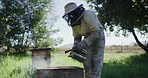 Beekeeping is great for the environment