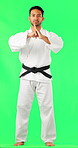 Serious man, karate and greeting on green screen of blackbelt against a studio background. Portrait of male person or martial arts trainer showing discipline, welcome or respect on chromakey mockup