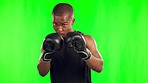 Black man, boxer and punching in fight on green screen against a studio background. Portrait of African male person or fighter with boxing gloves in sports exercise, workout or training on mockup