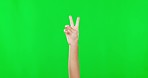 Hands, green screen and closeup of a peace sign in a studio for language, symbol or communication. Number, emoji and zoom of a chill or cool hand gesture or icon isolated by a chroma key background.