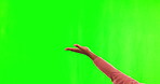 Person, hands and palm on green screen for advertising or marketing against a studio background. Hand of man show advertisement, list or product for branding, social media or sign on mockup space