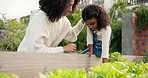 Learning, mother and girl in garden for farming, teaching kid or bonding. African mom, happy child and education outdoor in nature for vegetables, food and agriculture for growth of plants with care.