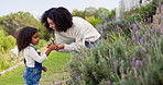 Mother, girl and giving lavender flowers in garden, bonding and happy together. African mom, child and learning plants for growth, teaching and floral gift for education in spring in the countryside.