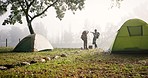 Women friends, walk and camping in outdoor in nature, silhouette and fog for adventure, holiday or journey together. Girl, backpack and pointing in forrest for camp, vacation and trekking in morning