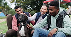 Nature camping friends, dog and happy people petting, playing and rub domestic animal, bonding and smile for canine loyalty. Wellness camp, pet or gen z group relax on holiday adventure in park woods