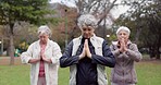 Health, park and elderly women stretching, yoga and exercise for wellness, retirement and pilates training. Female people, senior club or group outdoor, meditation and workout with self care or peace