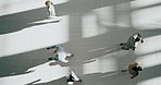 Business people, walking and top view in office with employee and worker travel. Movement, speed and person steps of company, professional and moving workforce from above in a corporate workplace
