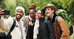 Friends, camping and smile for selfie, peace sign or outdoor for memory, excited face and adventure. Group, young people and portrait for photography, blog or social network in woods, forest or field