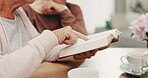 Hands, elderly woman and bible study in home, prayer group or women listening together to wisdom of God or Jesus Christ. Person, reading and learning about religion, faith or studying holy book