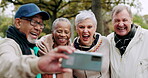 Selfie, happy and group of senior friends in a park or nature for outdoor holiday or vacation smile for a picture together. Memory, phone and laughing elderly people take picture for social media