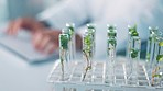 Test tube, ecology and leaf, science and innovation in laboratory, medical research and scientist typing on keyboard. Biotechnology, environment study and experiment, person and plant sample to test