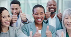 Business people, thumbs up and team portrait of happy employees together for collaboration. Diversity, support and professional men and women group with thank you, review or yes emoji in office