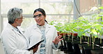 Greenhouse, tablet and women with ecology science, talking sustainability and teamwork for inspection. Education, agriculture and scientists in discussion with tech for a check on growth of plants