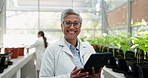 Tablet, portrait and sustainability with an old woman in a greenhouse to study plant growth for ecology research. Technology, science and agriculture with a scientist working on medicine innovation