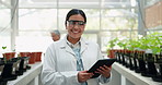 Tablet, portrait and science with a woman in a greenhouse to study plant growth for ecology research. Technology, sustainability and agriculture with a young scientist working on medicine innovation