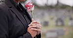 Funeral, cemetery and person with rose sad for remembrance, burial ceremony and memorial service. Depression, death and woman with flower on gravestone for mourning, grief and loss in graveyard