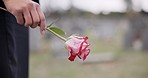 Death, cemetery and hands of person with flower for remembrance, ceremony and memorial service. Depression, funeral and closeup of rose for mourning, grief and loss in graveyard for bereavement