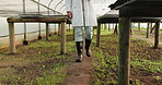 Agriculture greenhouse, legs and person walking, check plant growth or inspection of eco friendly production. Ecology investigation, foot steps and feet of scientist doing sustainable field analysis