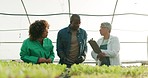 Farm, teamwork and sustainability with people in a greenhouse to study plant growth for agriculture. Science, research or ecology with a farmer team talking while working on green innovation together