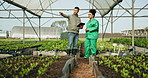 Farmer, teamwork and tablet for greenhouse management, agriculture and sustainability, gardening or agro business. Entrepreneur, manager and woman on digital tech for vegetables or farming inspection