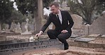 Funeral, cemetery and man with flower at tombstone for remembrance, burial ceremony and memorial service. Depression, death and person with rose for mourning, grief and loss in graveyard for respect