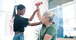 Women, physiotherapy and patient stretching with dumbbell for medical consulting, muscle rehabilitation and healing services. Physiotherapist, senior healthcare and weights for chiropractic exercise 