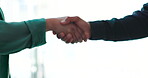 Handshake, welcome or partnership with business people closeup in an office for deal or agreement. Meeting, thank you or b2b collaboration with an employee and colleague shaking hands in a workplace