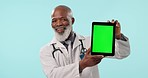 Doctor, green screen tablet and senior black man presentation of hospital news, medical web notification or mockup space. Studio portrait, online tracking markers or clinic surgeon on blue background