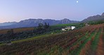 Sunset over the winelands