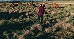 Countryside, agriculture and man with cows, farming and nature with landscape, sustainability and industry. Person, farmer and guy with animals, outdoor and walking with stock, environment and cattle