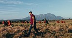 Sustainability, farm and man with cattle, walking and countryside with mountains, environment and landscape. Outdoor, person and farmer with stocks, cows and nature with animals, field or agriculture