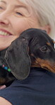 Face, love and puppy with an old woman vet in an animal clinic for healthcare or treatment. Smile, trust and a happy senior medicine professional working with a small dog as a medical veterinarian