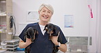 Doctor, pet and puppies with an old woman vet in an animal clinic for healthcare or treatment. Portrait, smile and a happy elderly medicine professional working with dogs as a medical veterinarian