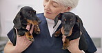 Love, smile and dogs with an old woman vet in an animal clinic for healthcare or treatment. Cute, love and a happy senior medicine professional working with small puppies as a medical veterinarian