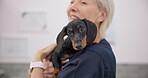 Hug, smile and puppy with an old woman vet in an animal clinic for healthcare or treatment. Love. embrace and a happy senior medicine professional working with a dog as a medical veterinarian