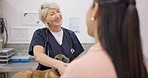 Veterinary handshake, dog or happy woman, mature doctor and greeting person, hello or thank you for healing animal. Pet care service, vet welcome or healthcare worker shaking hands with clinic client