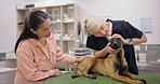 Dog, checkup and woman with senior veterinary in a consultation room for animal examination. Pet care, help and female with German Shepard puppy at a clinic consulting elderly lady vet for advice