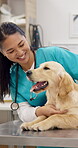 Vet, dog and happy woman pet for care, play and touch in healthcare clinic. Veterinary, animal and medical professional with labrador puppy in hospital, health check or consultation for wellness.