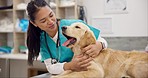 Woman, vet and happy puppy on table for consultation, medical advice and pet care insurance. Doctor, female veterinarian and Labrador dog at hospital for professional help, check up and animal clinic
