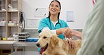 Dog, happy woman and vet shaking hands at consultation, medical advice and pet care service. Person with female veterinarian, sick Labrador puppy and professional help with thank you at animal clinic