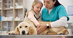 Dog, stethoscope for healthcare and vet with a girl pet owner at an animal hospital for a checkup or appointment. Doctor, veterinarian or professional with a female child and puppy at the clinic