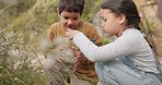 Discovery, nature and children exploring in the mountain for outdoor adventure together. Magnifying glass, fun and young kids playing with plants for research on a hike in countryside on vacation.