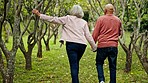 Walk, holding hands and old couple in trees with conversation, love and relax in retirement. Marriage, senior man and woman in park together with nature, outdoor bonding and morning chat from back.