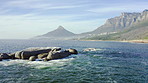 These sea lions have the best tanning view