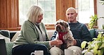 Senior couple, dog and sofa in home with care, talking and love with bonding, relax and stroke with kindness. Elderly woman, old man and animal with play, touch and pet with chat on living room couch