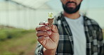 Man, hand and farmer with plant in greenhouse for natural growth, soil or harvest in farming agriculture. Closeup of male person holding little seed of fresh produce, crops or resources on farmland